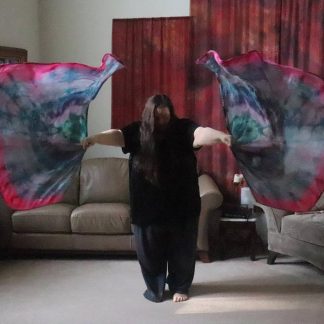 Swing Wings